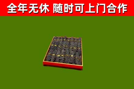 醴陵回收海参